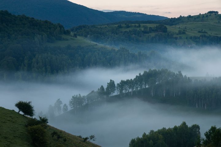 В Татарстане ожидается туман и до 12 градусов тепла