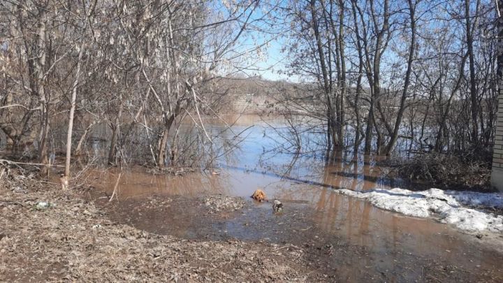 «Поплыли»: Высокогорский район топят воды Казанки