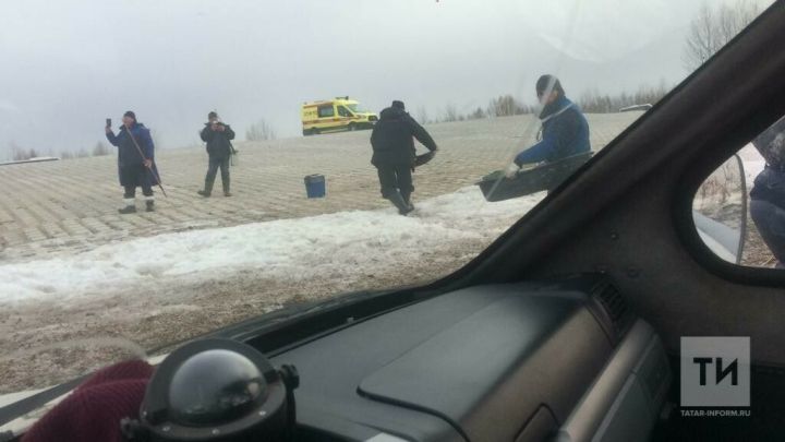 Со льда Свияги в Татарстане спасли 35 рыбаков и щенка