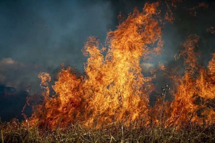 Жители Алан-Бексерьского сельского поселения предотвратили крупный пожар, который мог перекинуться в марийский лес