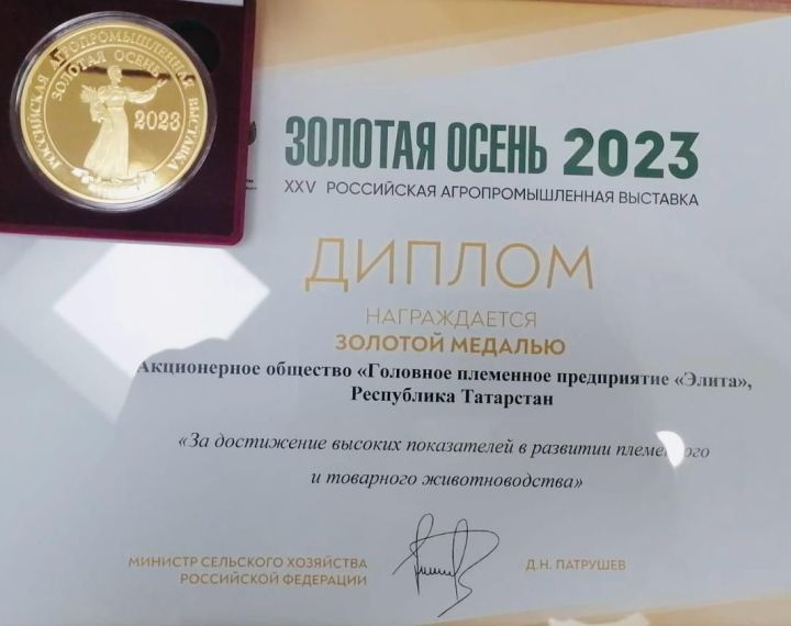 Две золотые медали с всероссийской сельхозвыставки привезли «Бирюли» и «Элита»