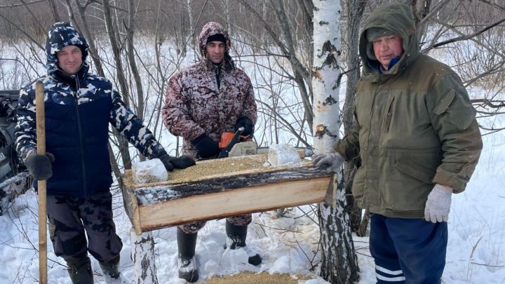 Чем подкармливать диких животных?