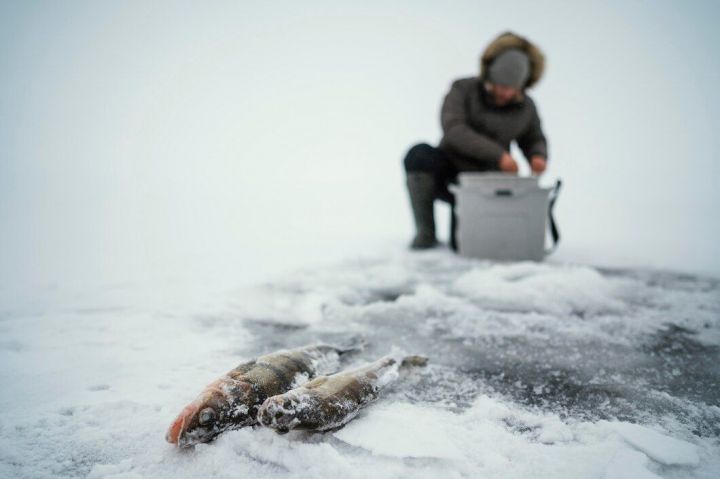 В Татарстане оштрафовали семерых рыбаков, которые выехали на авто на лед Волги