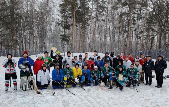 Хоккейный турнир «Золотая шайба» прошёл в Высокогорском районе