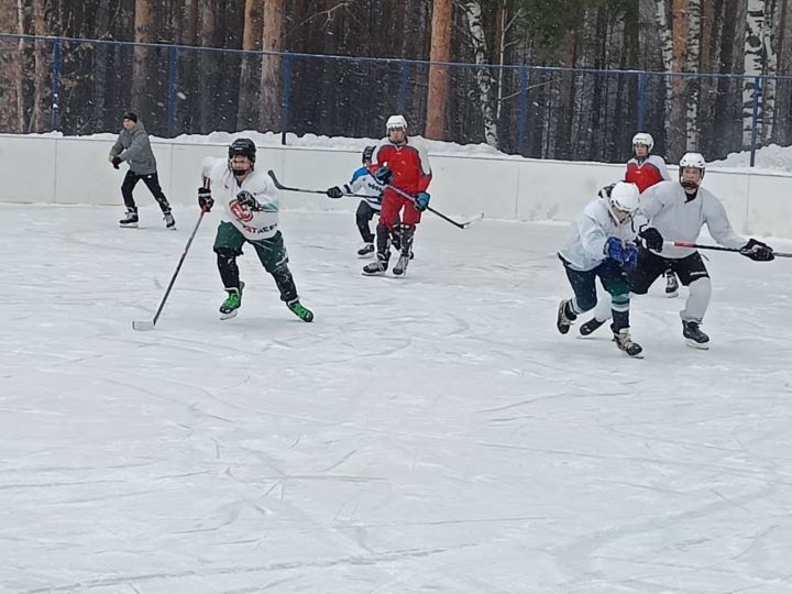 Хоккейный турнир «Золотая шайба» прошёл в Высокогорском районе