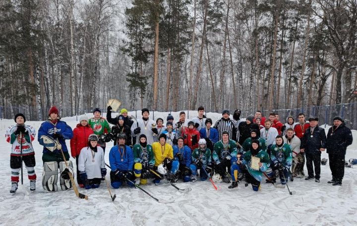 Хоккейный турнир «Золотая шайба» прошёл в Высокогорском районе