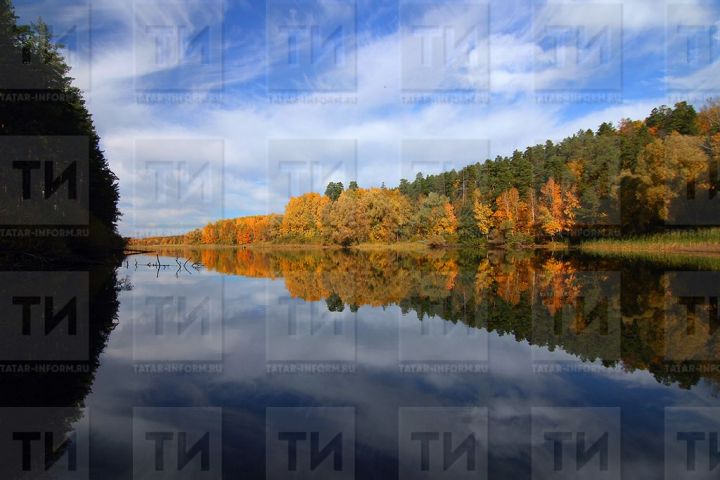 Очевидцы пожаловались на массовый мор рыбы на Казанке
