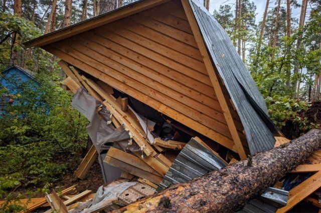 В Лаишевском районе из-за упавшего на палатку дерева погиб ребенок