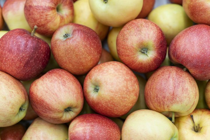 Россиянам назвали главные ошибки в хранении яблок