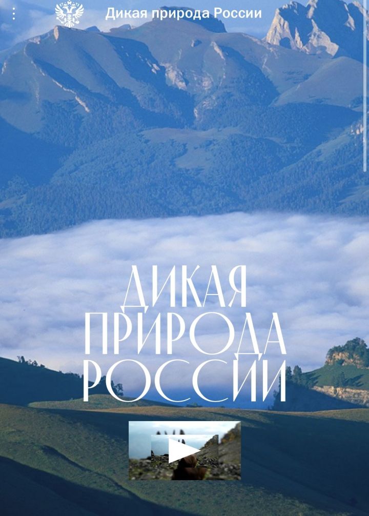 В Росси запущен сайт о заповедниках