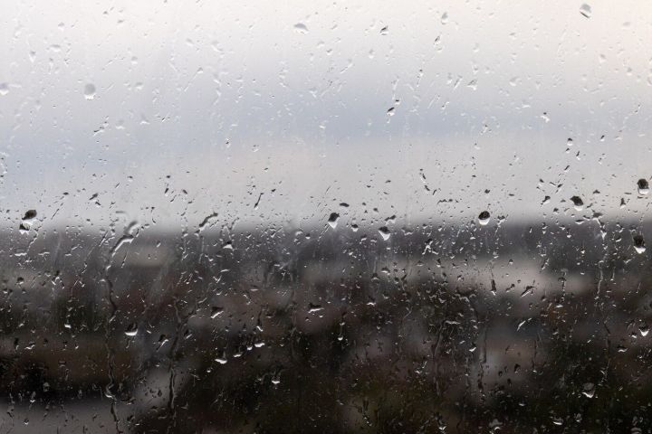 Сегодня ожидается снег, мокрый снег и холод