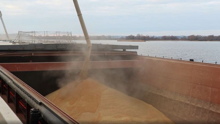 Татарстан увеличивает экспорт зерна