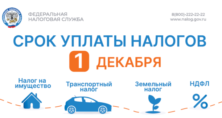 Удобные способы оплаты имущественных налогов до 1 декабря