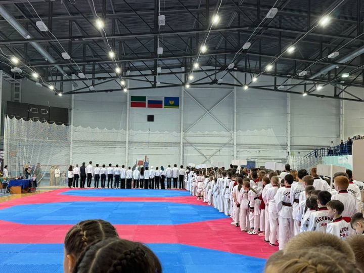 Сегодня проходит Первенство по тхэквондо ВТФ «Вызов Сильнейших»!