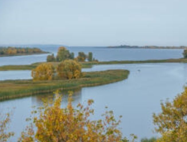 За неделю в Татарстане произошло 61 возгорание и 7 ЧП на водоемах