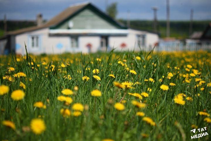 С 1 сентября дачникам запретили вести бизнес на своих участках