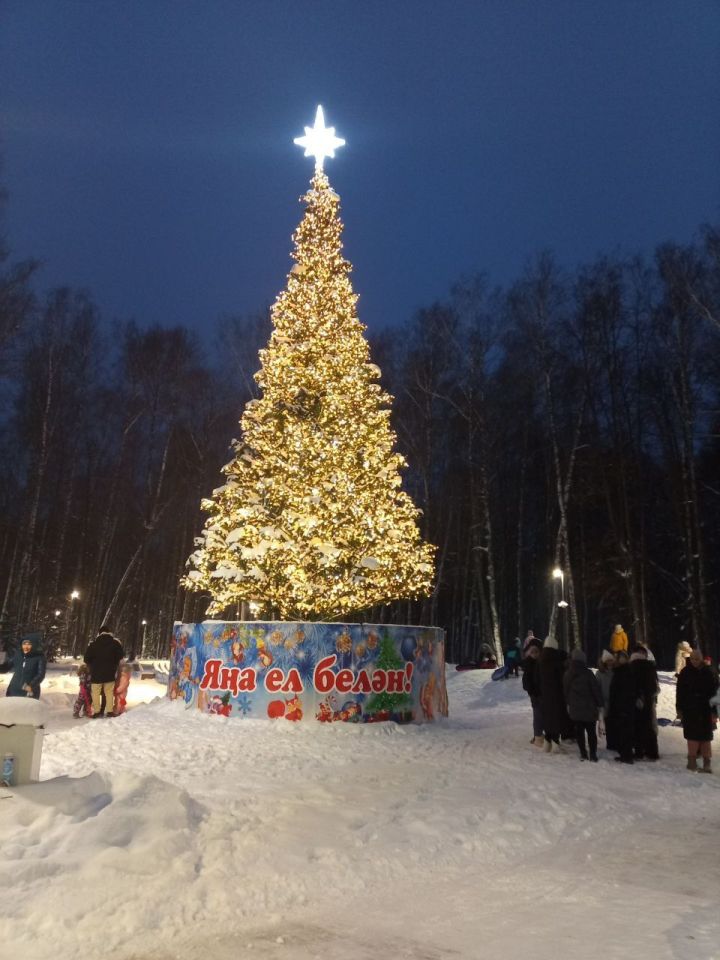 В Высокогорском районе прошёл новогодний праздник для детей
