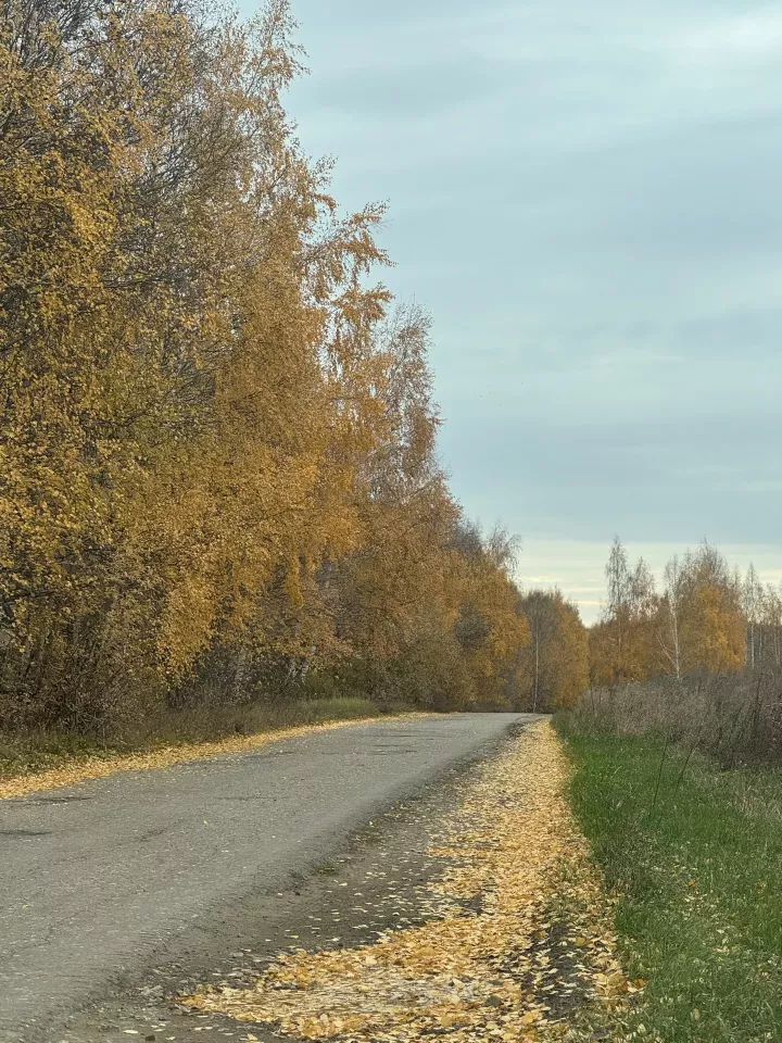 В Татарстане перед похолоданием ожидается потепление до +21 градуса