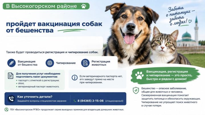 Вакцинацию и чипирование собак проведут в Высокогорском районе