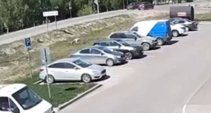 17-летняя пассажирка погибла в ДТП с мотоциклом