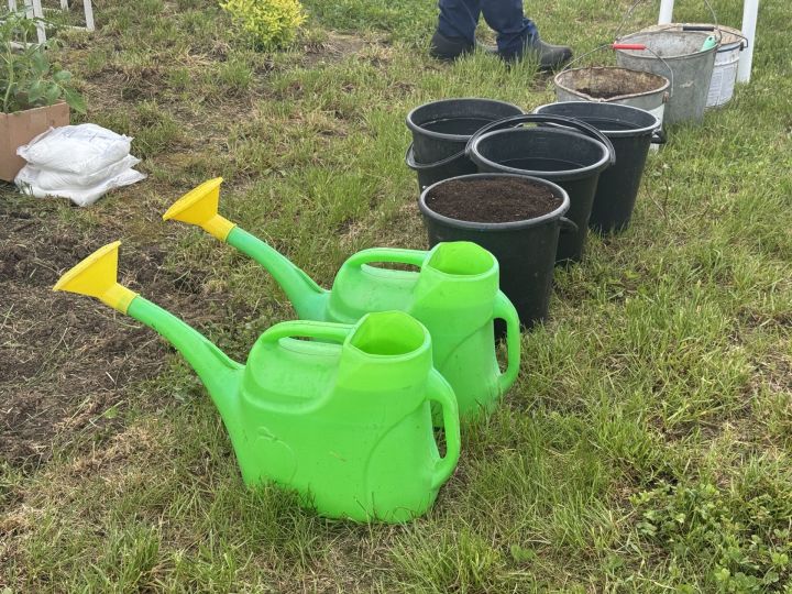 В Алатской школе прошел мастер-класс с агрономом Харисом Камалеевым