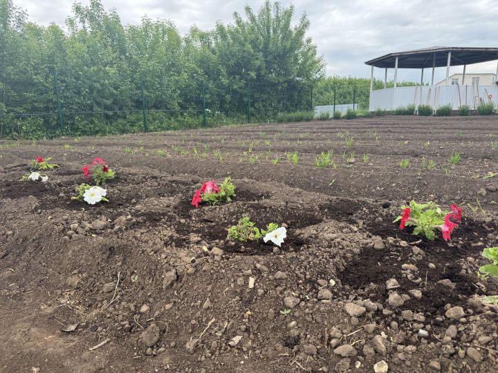 В Алатской школе прошел мастер-класс с агрономом Харисом Камалеевым