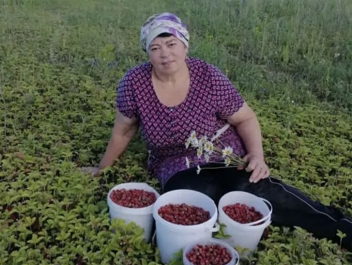 Хозяйка земляничных полян из Березки раскрыла секрет урожая
