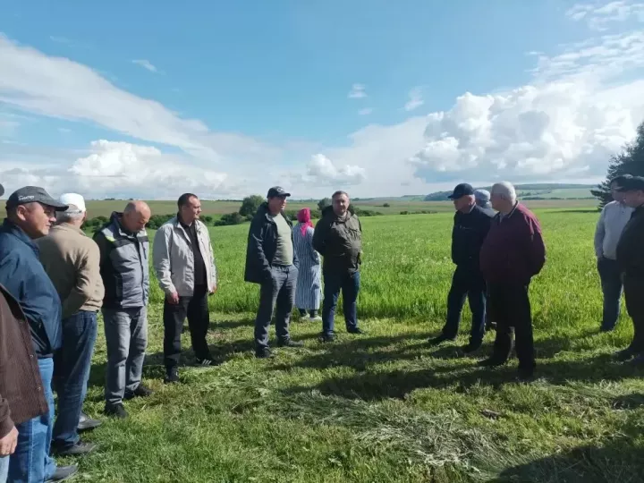 В Высокогорском районе прошла традиционная приемка посевов