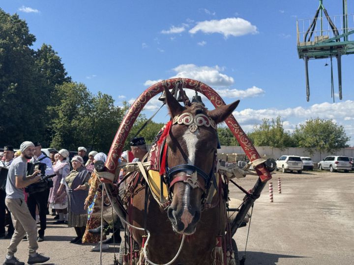 «Красный обоз» с зерном нового урожая отправился на элеватор