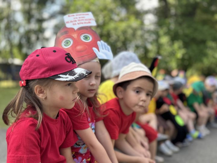 Международный день светофора отметили в детском саду «Рябинушка»