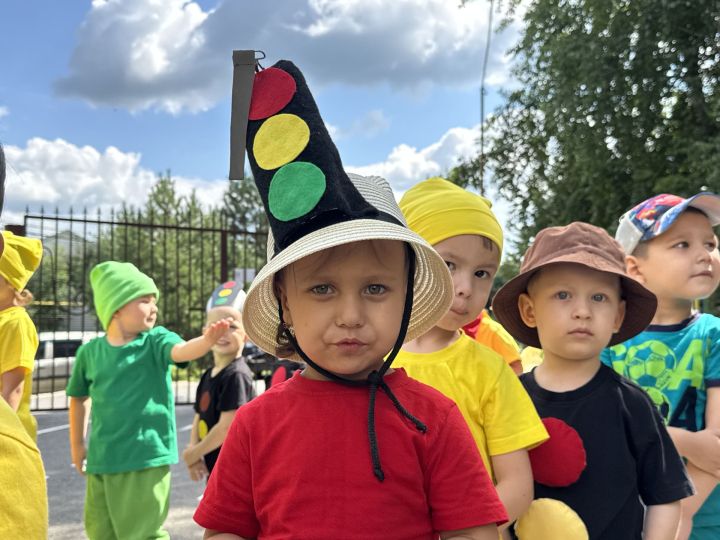 Международный день светофора отметили в детском саду «Рябинушка»