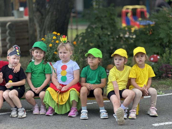 Международный день светофора отметили в детском саду «Рябинушка»