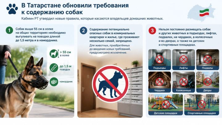 В Татарстане ужесточили правила содержания и выгула собак