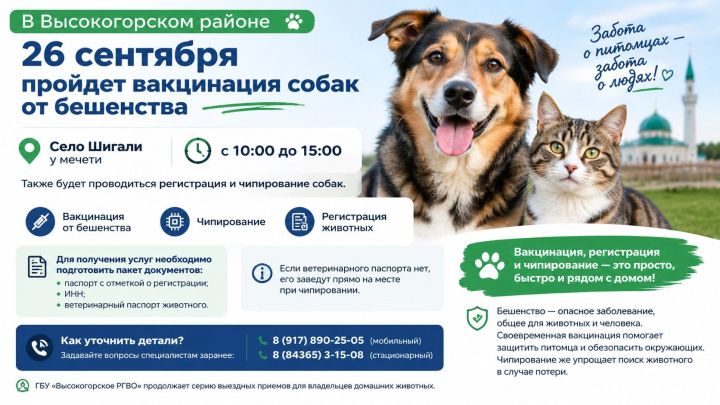 В Высокогорском районе 26 сентября пройдет вакцинация собак от бешенства