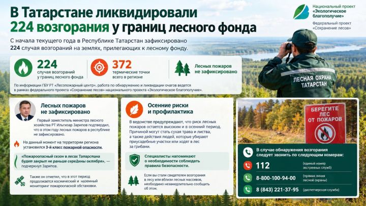 В Татарстане ликвидировали 224 возгорания у границ лесного фонда
