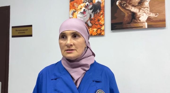Ветеринар Лилия Лукманова рассказала о работе с животными