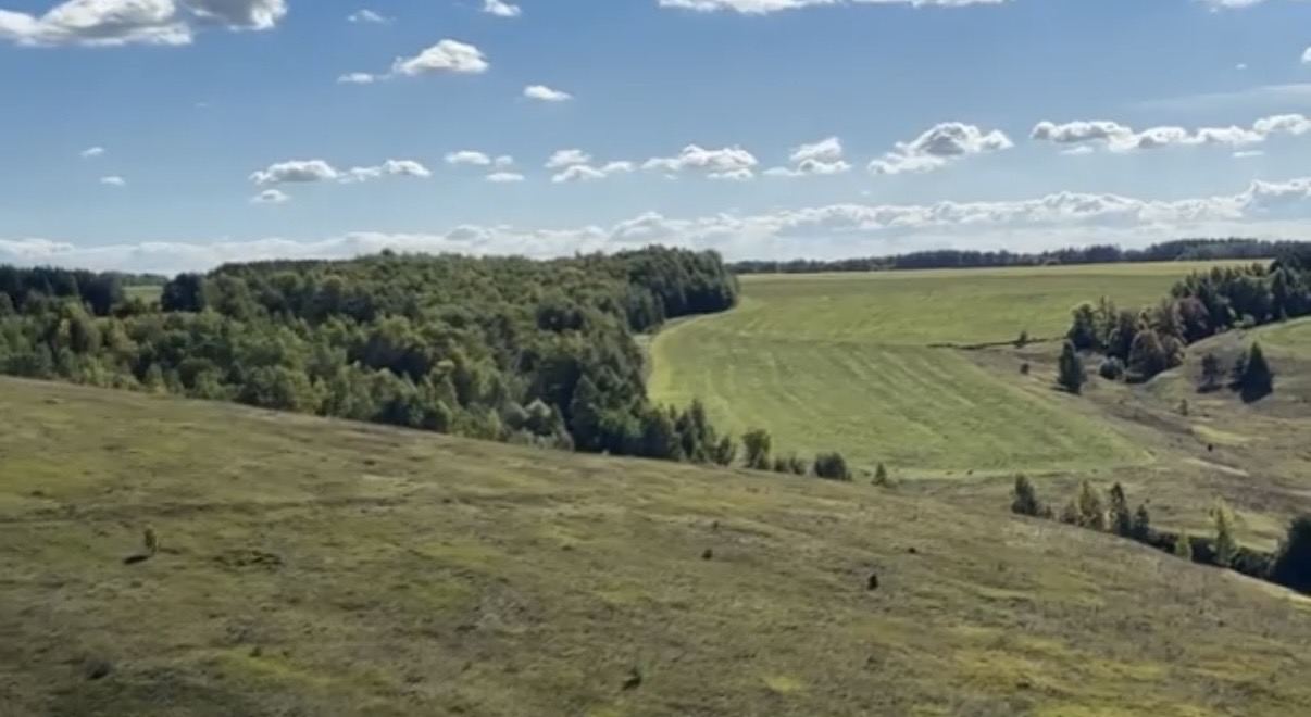 Панорама высокого мыса, на котором расположено Соловцовское городище.