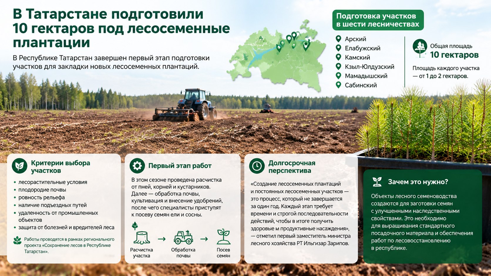 В Татарстане подготовили 10 гектаров под лесосеменные плантации