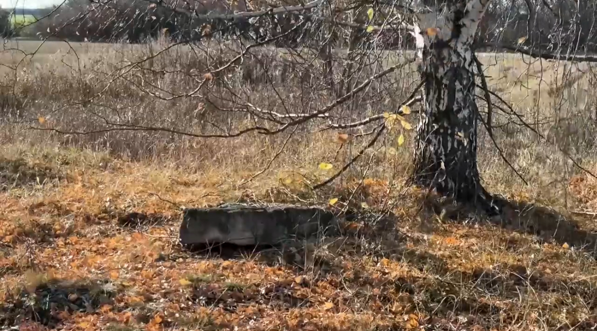 Коркачык зираты нәсел хәтерен саклый