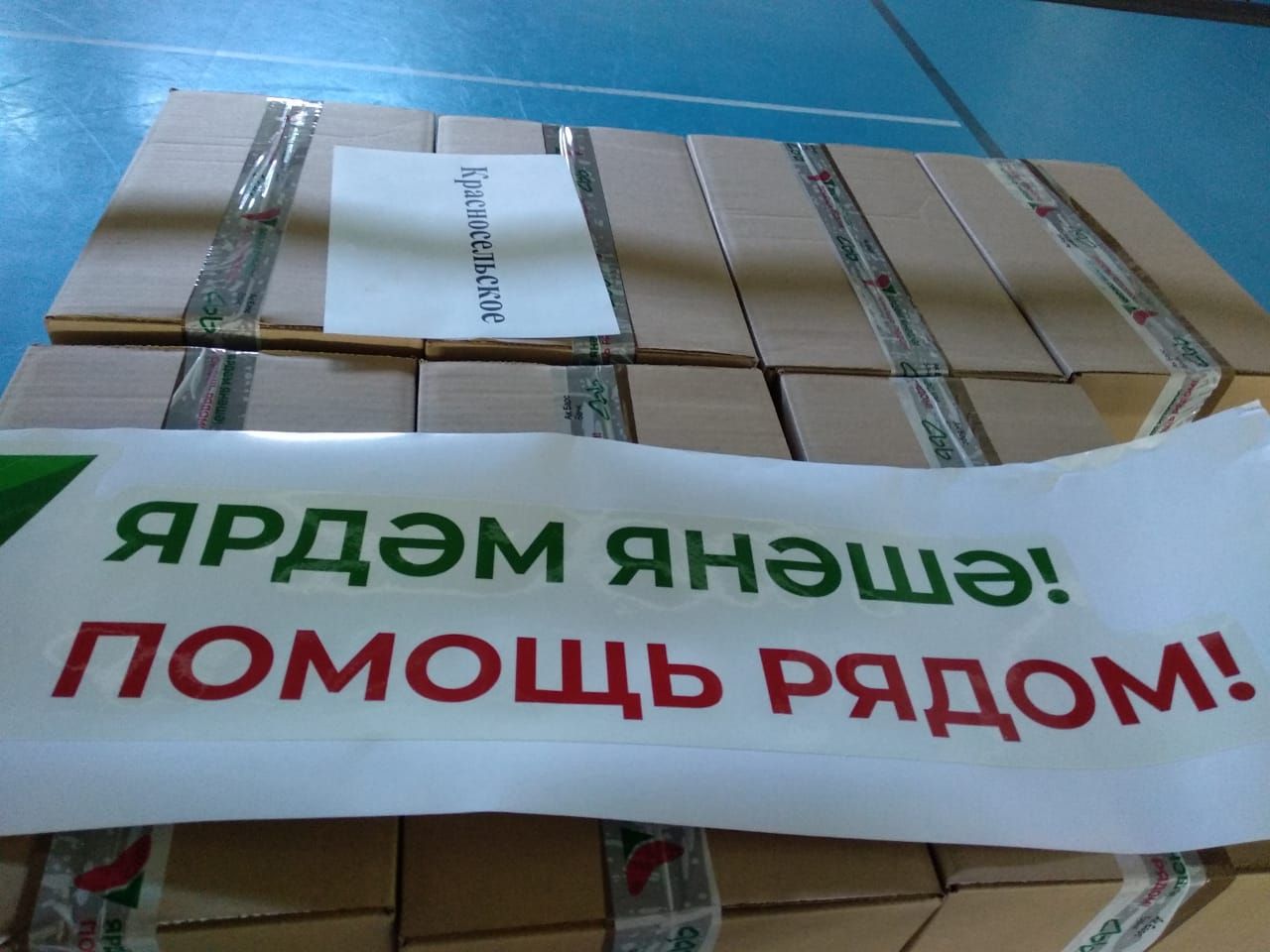 В Высокогорский район привезли наборы продуктов по поручению Президента Татарстана