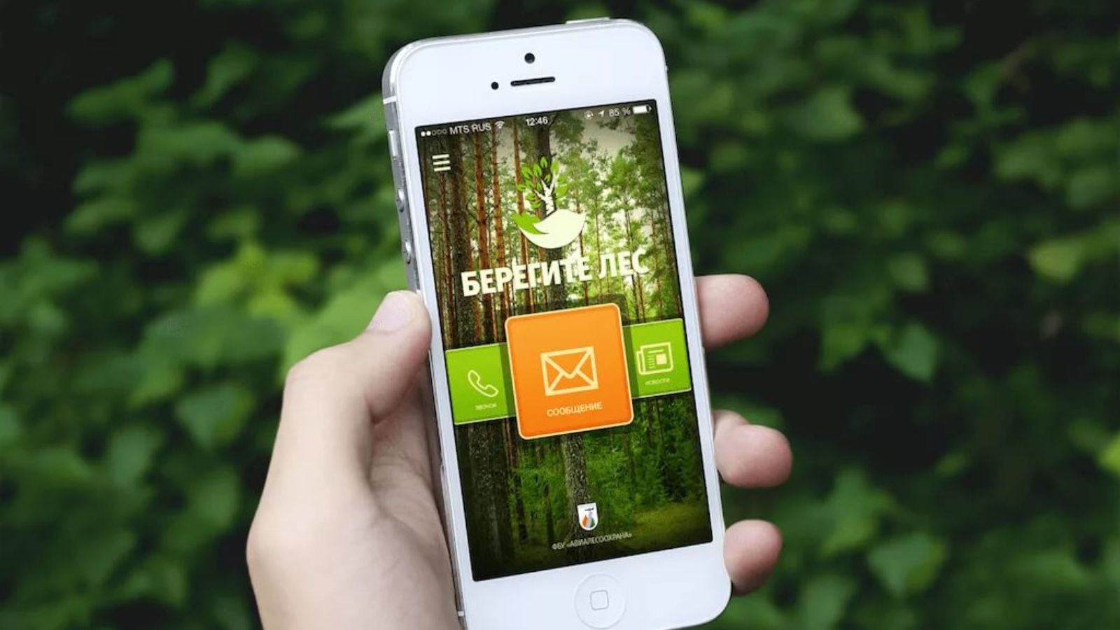 Grass app. Мобильное приложение берегите лес. Приложение береги лес. Телефон в лесу. Смартфон в лесу.