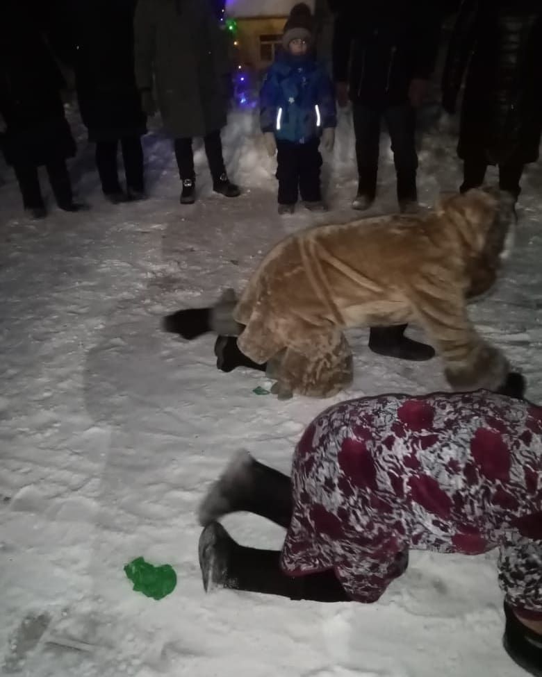 Новогодние гулянья прошли в Казакларском сельском поселении