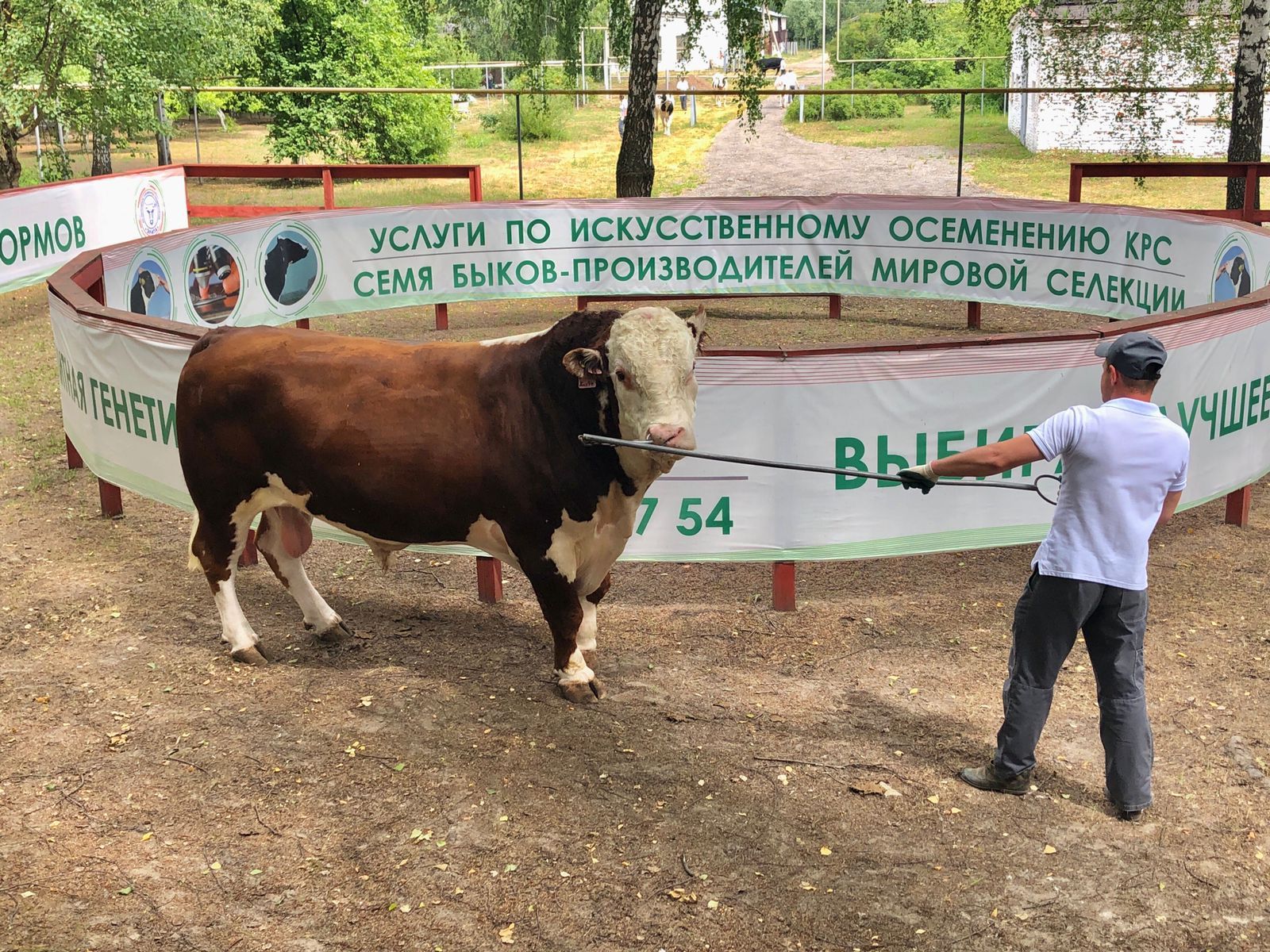 Делегация из Алтайского края посетила Высокогорский район