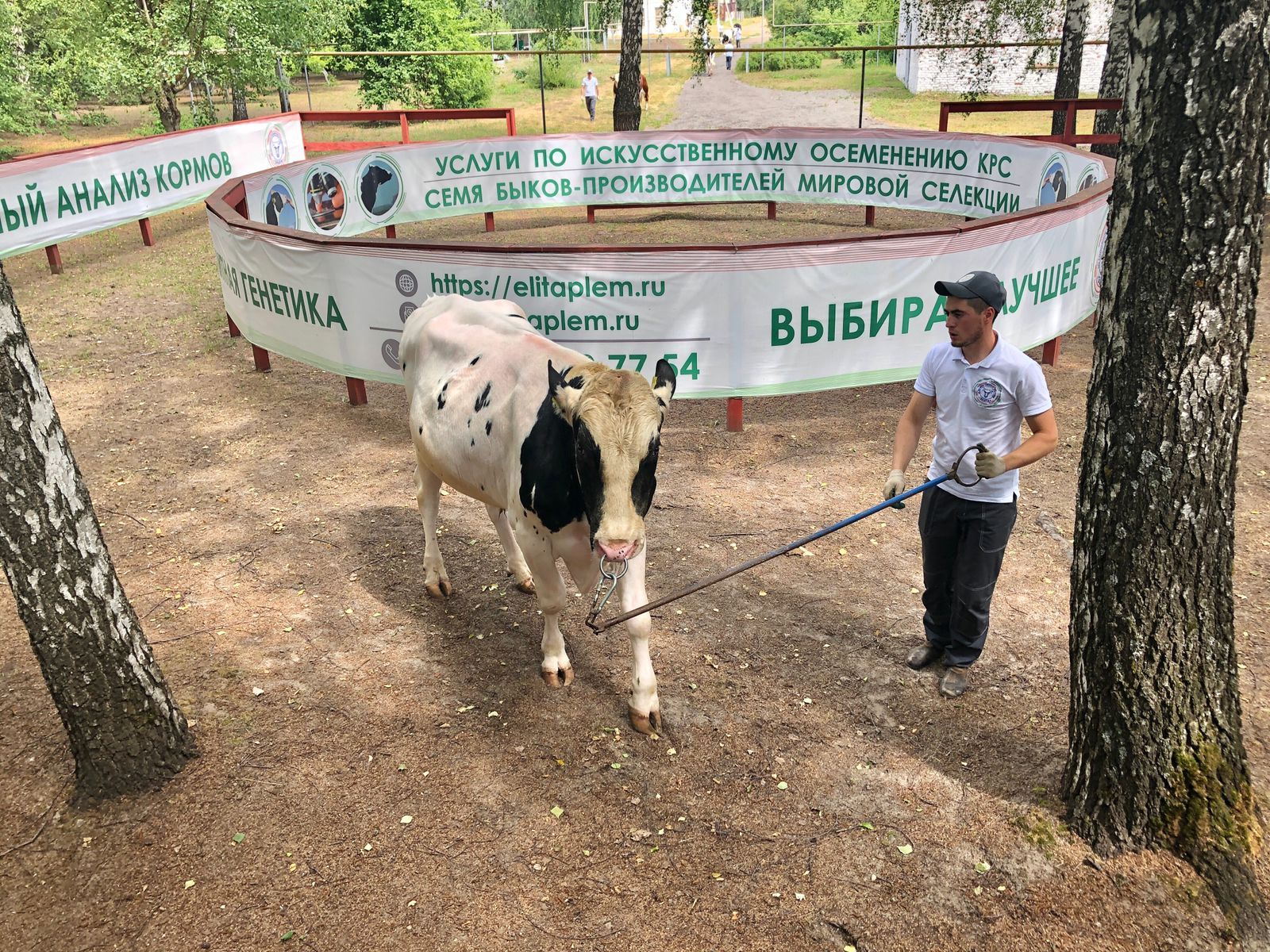 Делегация из Алтайского края посетила Высокогорский район