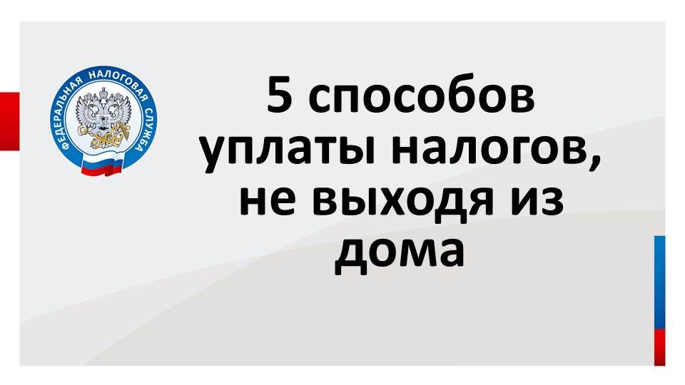 Как получить налоговое уведомление в электронном виде рассказали посетителям мобильного налогового офиса