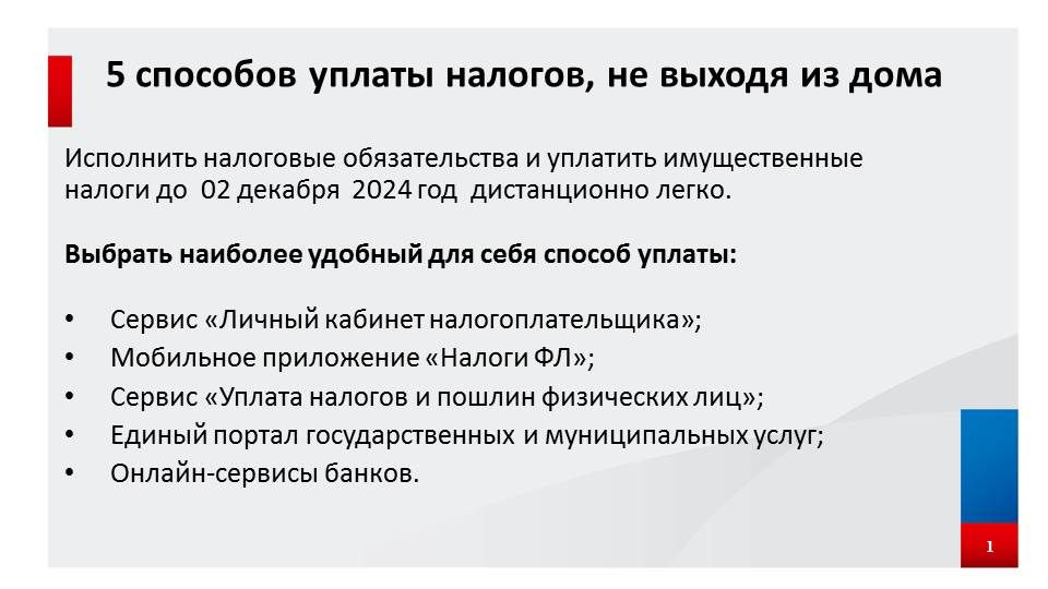 Как получить налоговое уведомление в электронном виде рассказали посетителям мобильного налогового офиса