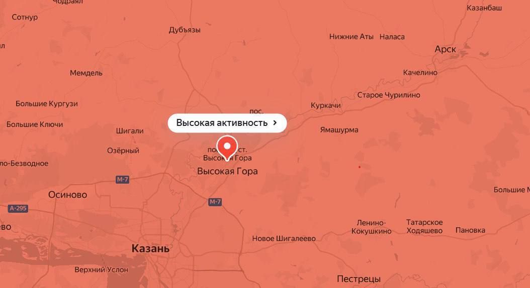 Ожидается пик цветения берёзы