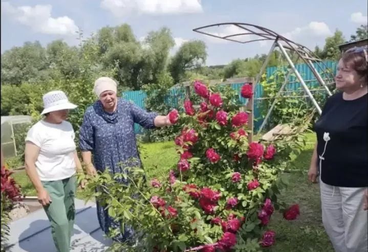 В Дубьязском сельском поселении проходит конкурс «Ветеранское подворье»