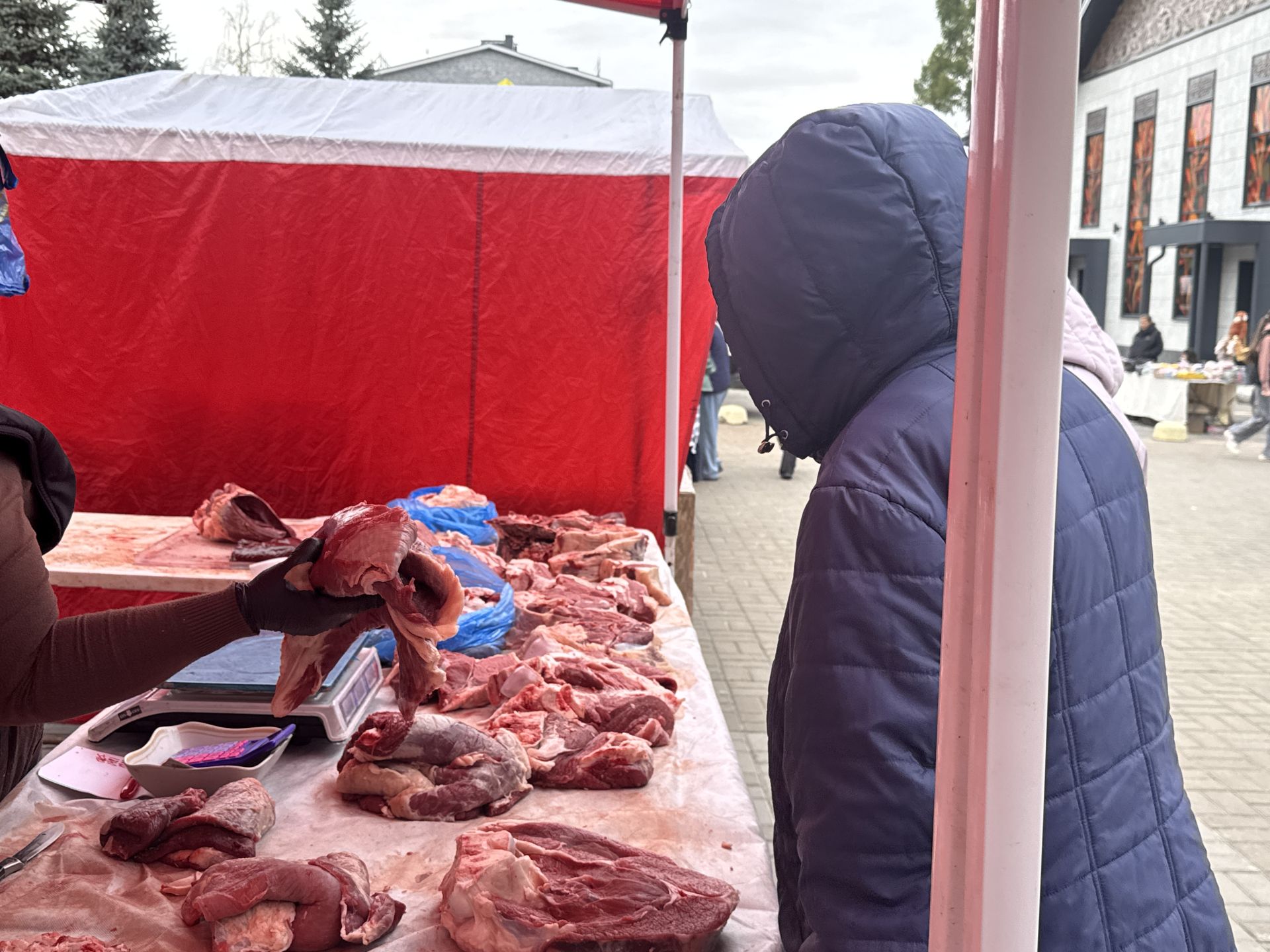 Осенняя сельскохозяйственная ярмарка проходит в Высокой Горе