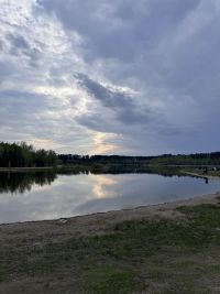 Сильный ветер обрушится сегодня